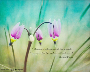 April showers bring may flowers, and june flowers and july flowers.