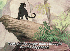 Baloo Jungle Book Movie Quotes