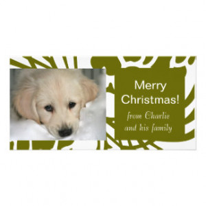 Elegant Green White Dog Christmas Photo Cards
