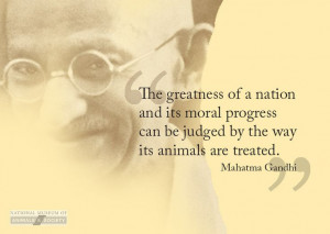 ... of my favorite quotes. Global Quotes, Favorite Quotes, Gandhi Animal