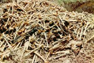 Cambodian Genocide Killing Fields