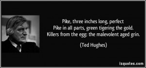 ... the gold. Killers from the egg: the malevolent aged grin. - Ted Hughes