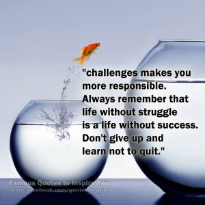 Famous Quotes Overcoming Obstacles And challenges image