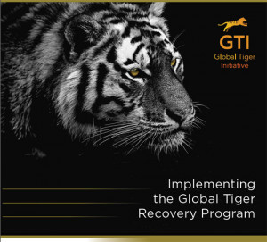 Nepal Leads Tiger Number Plan