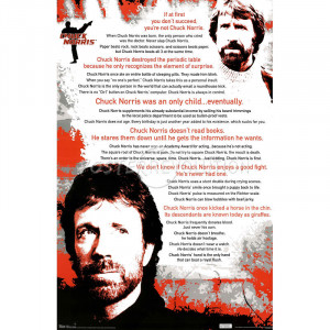 Chuck Norris (Quotes, The Best) Movie Poster Print - 22x34