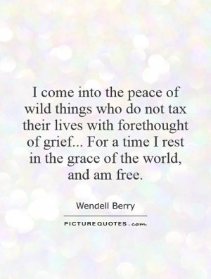 ... grief... For a time I rest in the grace of the world, and am free