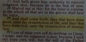 ... highlighted Bible verse in the prison, presumable left by Hershel