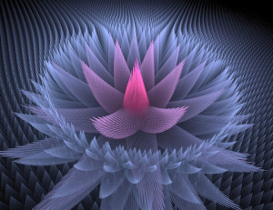 fractal de loto azul wallpaper