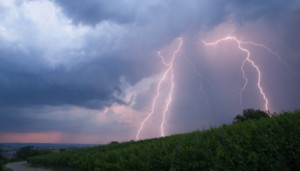 April’s crazy weather, here are some spring weather sayings ...