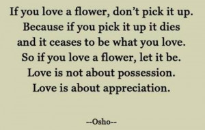 Love is not about possession, love is about appreciation.