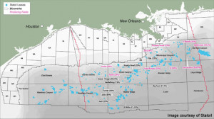 Gulf of Mexico Offshore Block Map