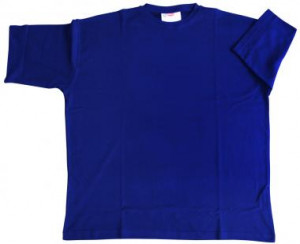 big_and_tall_big_mens_clothes_t-shirt_tshirt_shirt_royal_blue_12xlshop ...