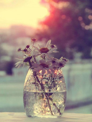 ... , evening, flowers, nature, sun set, vase, vintage, bring me flowers