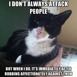 don’t always attack people…