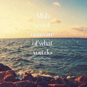 And nothing in the heavens and the earth remains hidden from Allah ﷻ ...