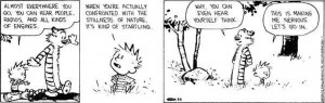 Your Saturday Smile: Calvin and Hobbes Edition