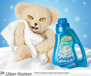 Snuggle bear’s eyes with cat eyes, it’s very unnerving. | Funny ...