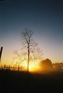 ... the loveliness of the woods before sunrise. ~ George Washington Carver