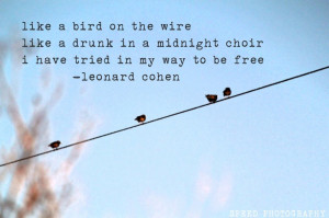 Free Like A Bird Quotes Like a bird on the wire - fine