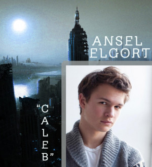 Ansel Elgort Caleb Landed The Role Of Tris Brother picture