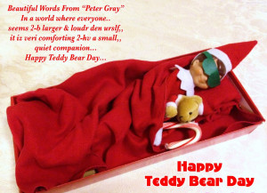 happy teddy bear day quotes hd wallpaper categories happy teddy bear ...