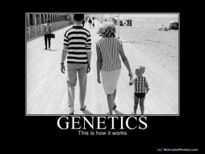genetics - this is how it works