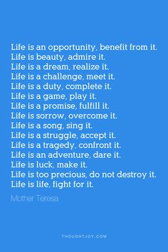 game, play it. Life is a promise, fulfill it. Life is sorrow, overcome ...