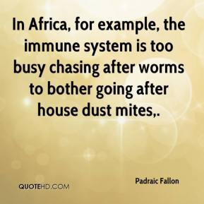 ... Fallon - In Africa, for example, the immune system is too busy