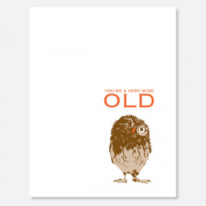 Adorable and Sometimes Funny Owl Birthday Cards