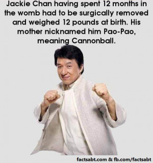 jackie chan quotes i love to clean jackie chan