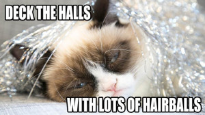 Grumpy Cats Who Are Not Amused by the Holiday Season