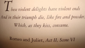 Romeo and Juliet quote photo romeoandjulietquote.jpg