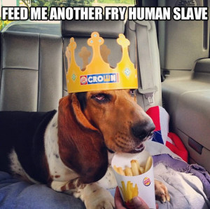 funny-picture-crown-dog-fry-slave-french-fries