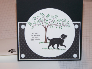 Sympathy Card for loss of a Pet