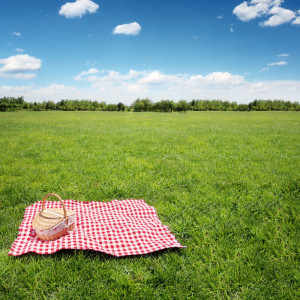 10 Perfect Picnic Supplies For National Picnic Day
