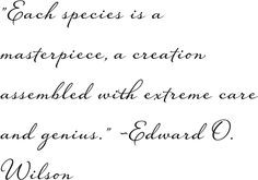 love biology quote by edward o wilson more wilson quotes marine ...