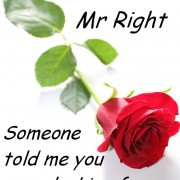 quotes, about, love, quote, Mr-Right, funny