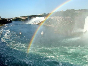 Beauty is all around us!