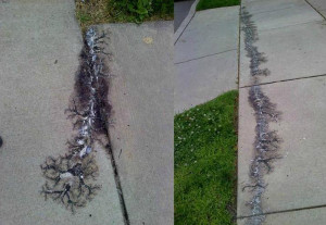 This is what a downed power line does to a sidewalk.