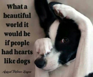 What a beautiful world it would be if people had hearts like dogs