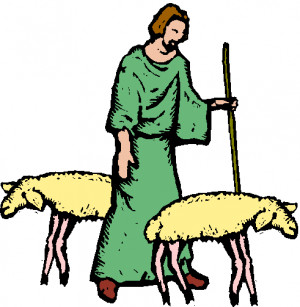 shepherd sheep