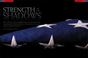 Strength in the Shadows: A Tribute to the CIA and Navy SEALs