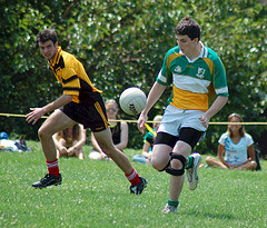 Agriculture Plots [ 24 ] Building [ 3 ] Small plots [ 8 ] Estates [ 1 ...