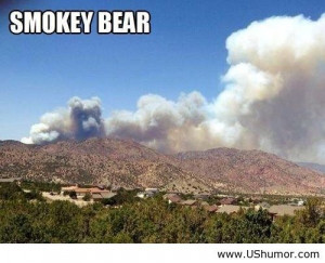 Smokey bear in a cloud US Humor - Funny pictures, Quotes, Pics, Photos ...