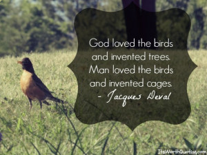 Quotes With Birds In It. QuotesGram