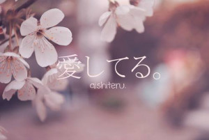 flowers, japan, love, quotes, sakura
