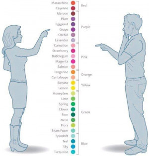 Gender differences in color perception