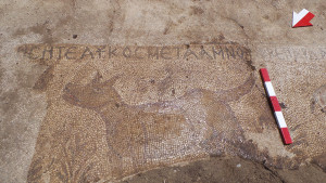... 120 sq. meter mosaic containing Bible verses found in southern Turkey