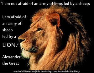 am not afraid of an army of lions led by a sheep...Alexander the ...