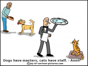 Cat-Quotations - cartoons of some cat quotes
